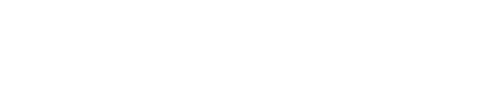 Savvytree footer logo