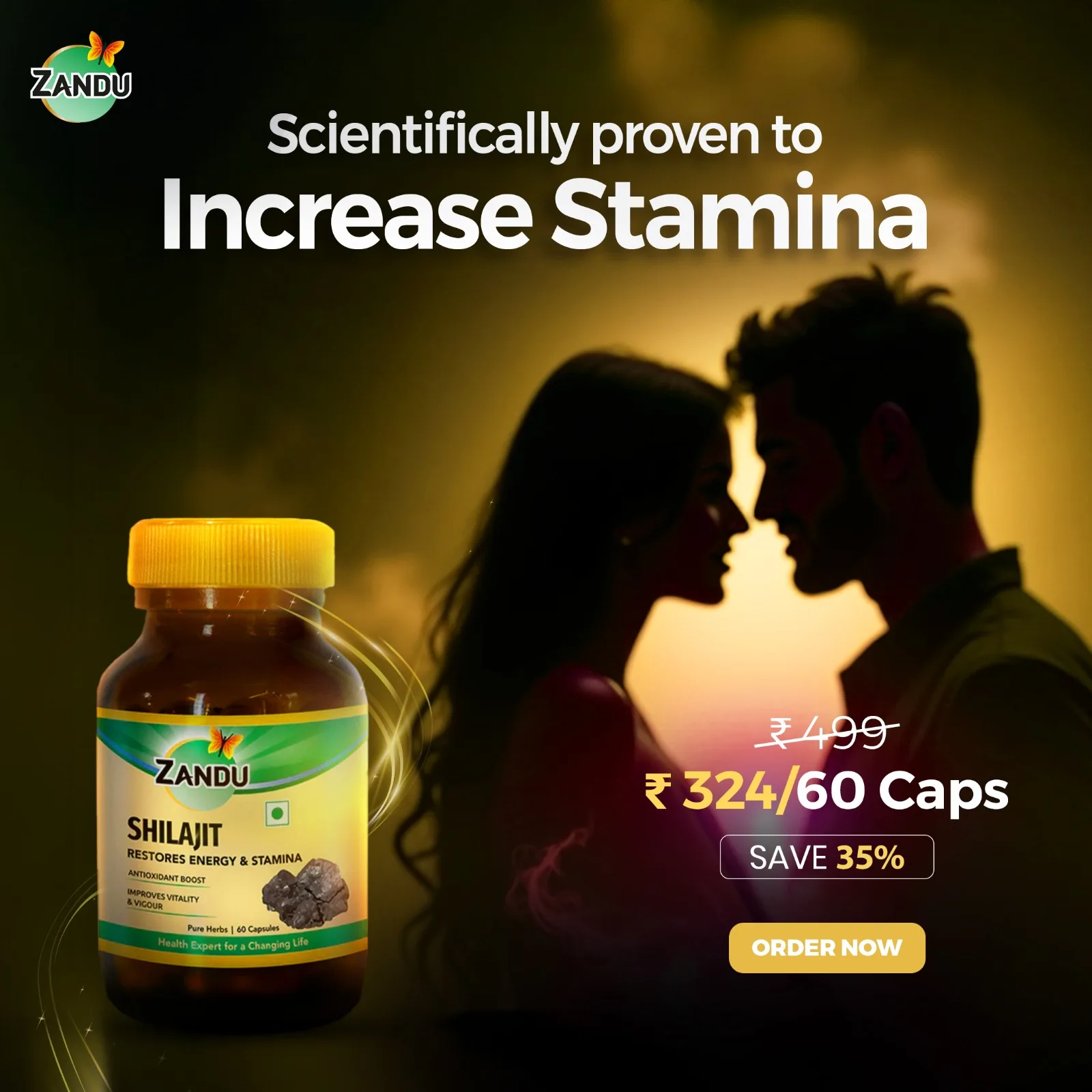 Shilajit Stamina